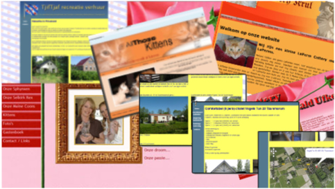 Oude Websites Lay-out
