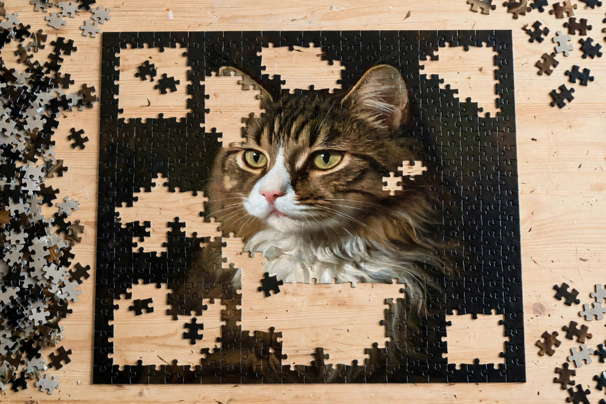 De puzzel over wie was Apollo van Rijn is nog lang niet af.